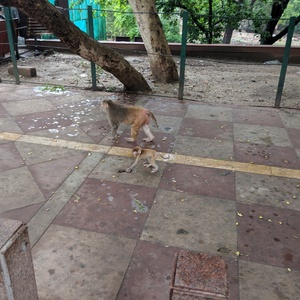 IMG_20190708_073925.jpg